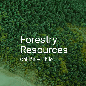 Forestry resources